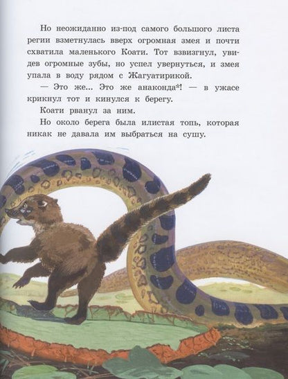 Фотография книги "Яровой: Приключения Тирика и Коати. Сказки с берегов Амазонки"