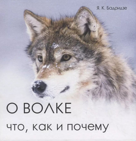 Обложка книги "Ясон Бадридзе: О волке. Что, как и почему"