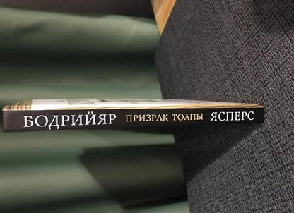 Фотография книги "Ясперс, Бодрийяр: Призрак толпы"