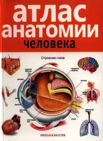 Обложка книги "Е. Красичкова: Атлас анатомии человека . 2-е издание дополненное и переработанное"