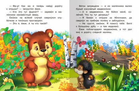 Фотография книги "Е. Русакова: Сказка про ежика"