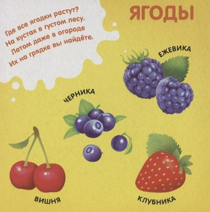 Фотография книги "Е. Сачкова: Фрукты, овощи и не только"