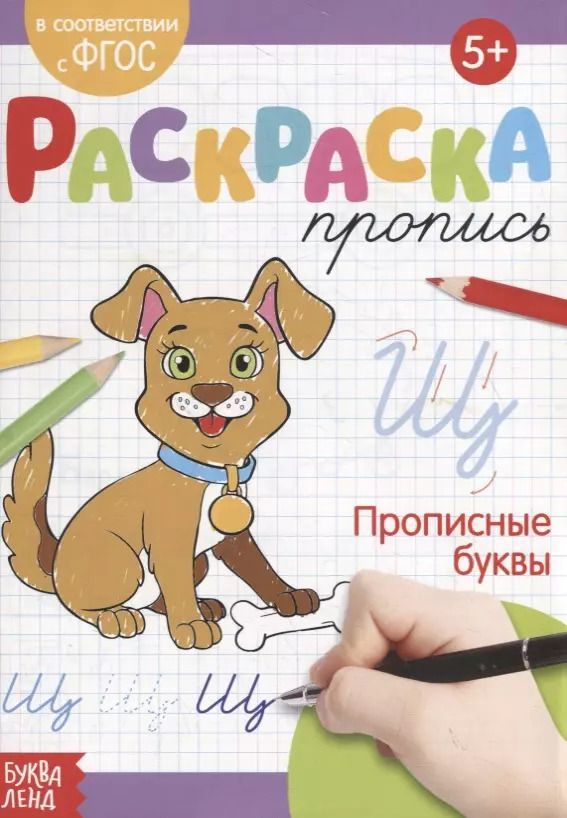 Обложка книги "Е. Сачкова: Раскраска-пропись «Прописные буквы»"