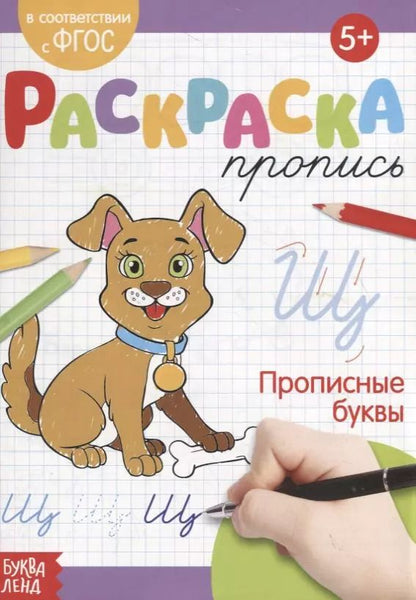 Обложка книги "Е. Сачкова: Раскраска-пропись «Прописные буквы»"