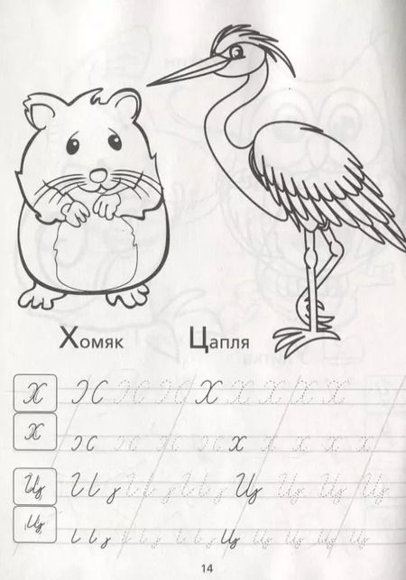 Фотография книги "Е. Сачкова: Раскраска-пропись «Прописные буквы»"