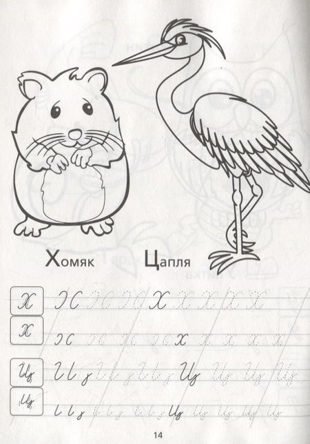 Фотография книги "Е. Сачкова: Раскраска-пропись «Прописные буквы»"