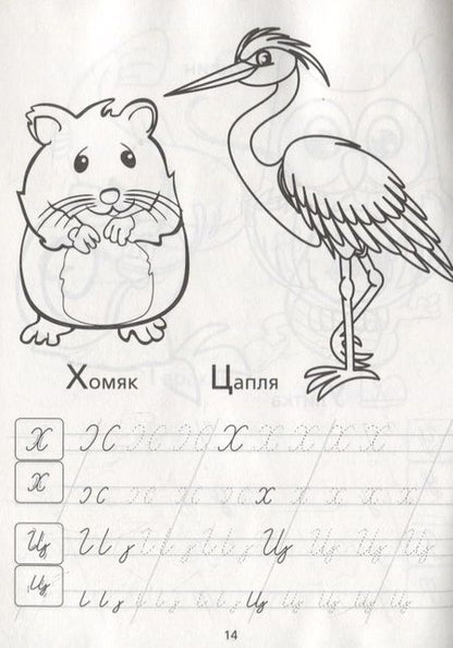 Фотография книги "Е. Сачкова: Раскраска-пропись «Прописные буквы»"
