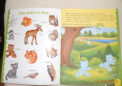 Фотография книги "Е. Шарикова: Кто в лесу живет"