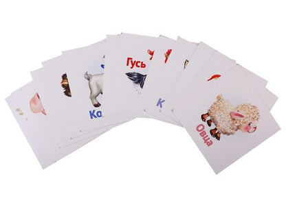 Фотография книги "Е. Смирнова: Домашние животные. Развивающие карточки"