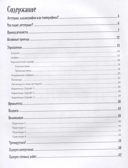 Фотография книги "Е. Зуевская: Леттеринг. Обучающий курс. Прописи. Шаблоны"