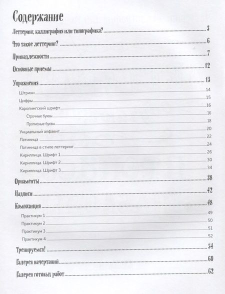Фотография книги "Е. Зуевская: Леттеринг. Обучающий курс. Прописи. Шаблоны"