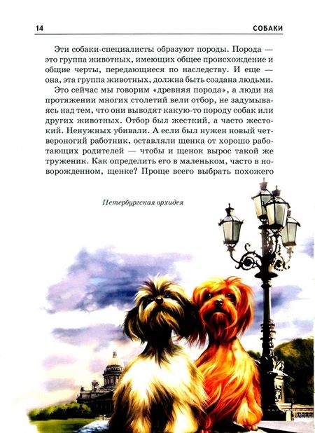 Фотография книги "Е.И. Александрова: Собаки"