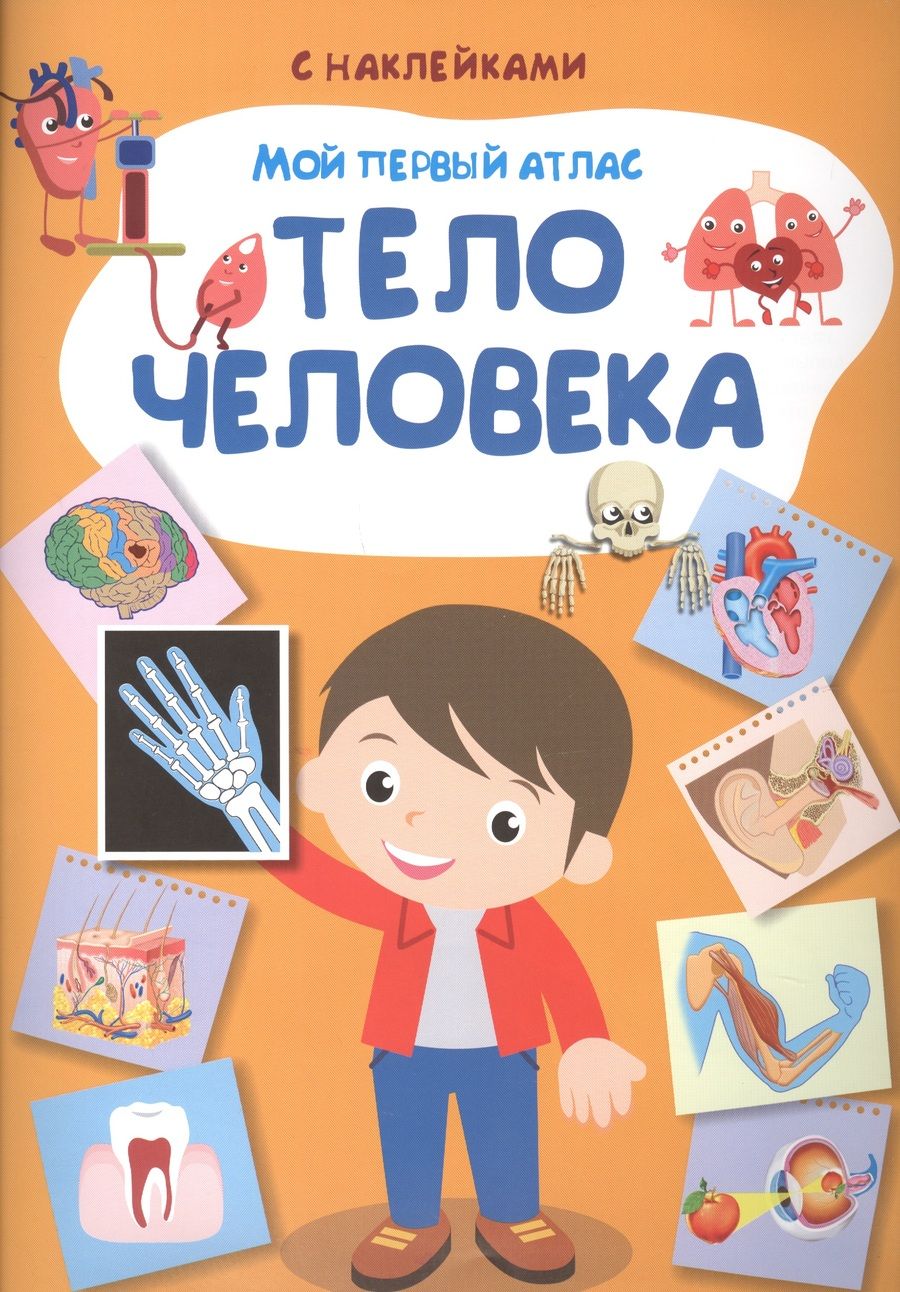 Обложка книги "Е.С. Вахрушева: Мой первый атлас. Тело человека"