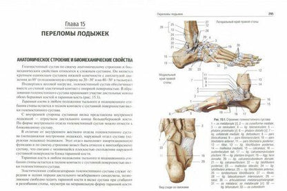 Фотография книги "Егиазарян, Сиротин, Ратьев: Травматология и ортопедия. Учебник ВУЗ"