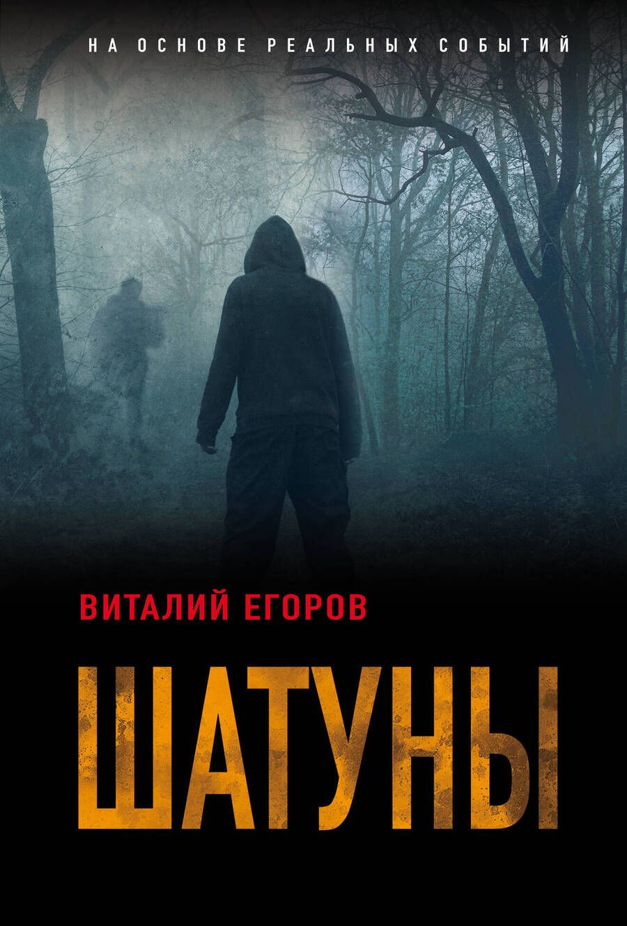 Обложка книги "Егоров: Шатуны"