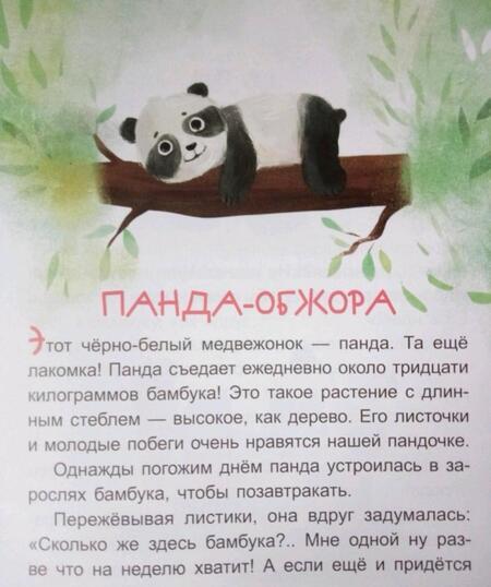 Фотография книги "Екатерина Федорова: Коала-соня. Читаем 10 минут. 2-й уровень сложности"