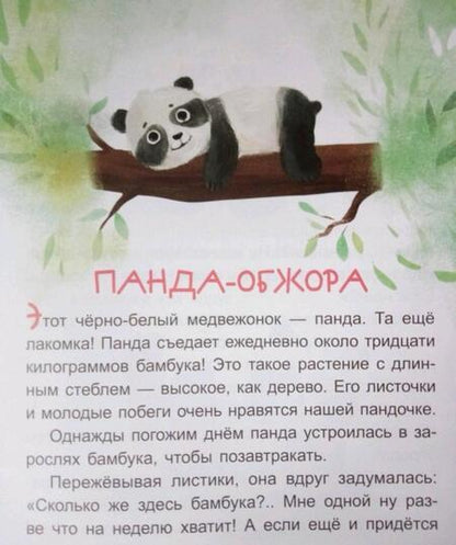 Фотография книги "Екатерина Федорова: Коала-соня. Читаем 10 минут. 2-й уровень сложности"