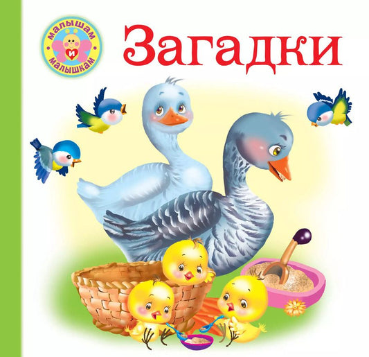 Обложка книги "Екатерина Гайдель: Загадки"