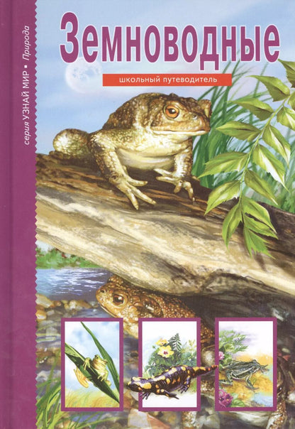 Обложка книги "Екатерина Голубева: Земноводные."