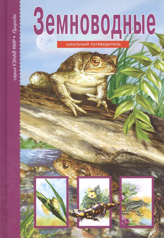 Обложка книги "Екатерина Голубева: Земноводные."