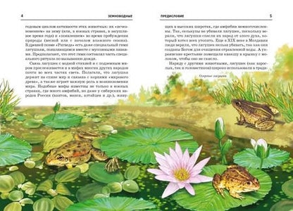 Фотография книги "Екатерина Голубева: Земноводные."