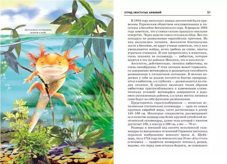 Фотография книги "Екатерина Голубева: Земноводные."