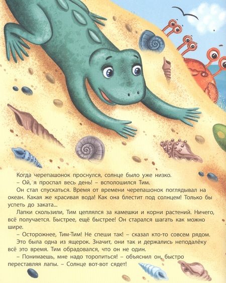 Фотография книги "Екатерина Каграманова: Черепашонок Тим и его большая мечта"