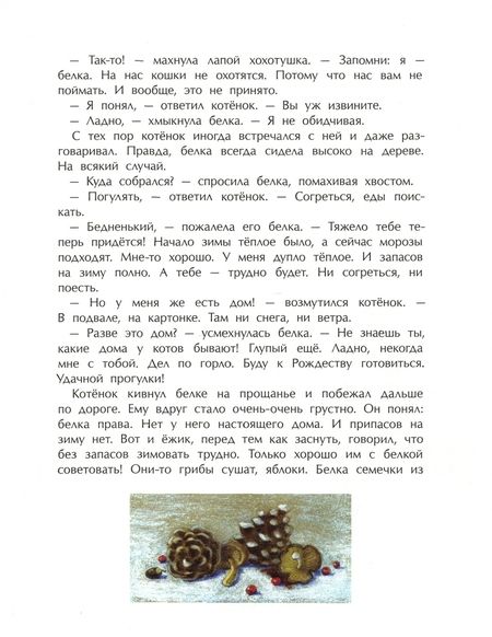 Фотография книги "Екатерина Каретникова: Зимняя сказка"