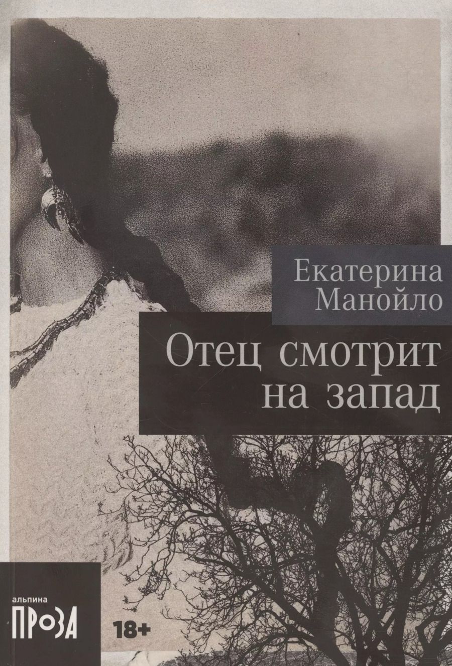 Обложка книги "Екатерина Манойло: Отец смотрит на запад"