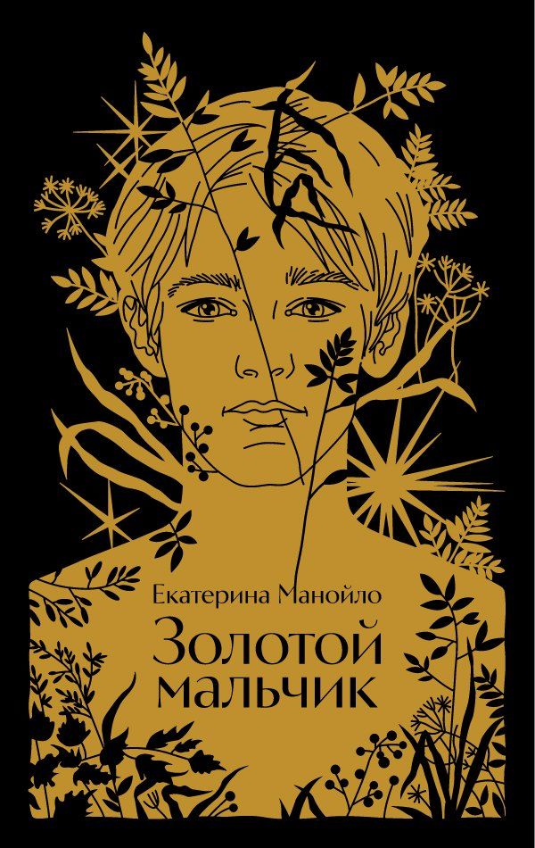 Обложка книги "Екатерина Манойло: Золотой мальчик"