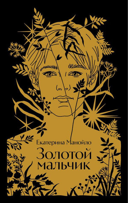 Обложка книги "Екатерина Манойло: Золотой мальчик"