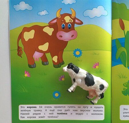 Фотография книги "Екатерина Смирнова: Домашние животные"