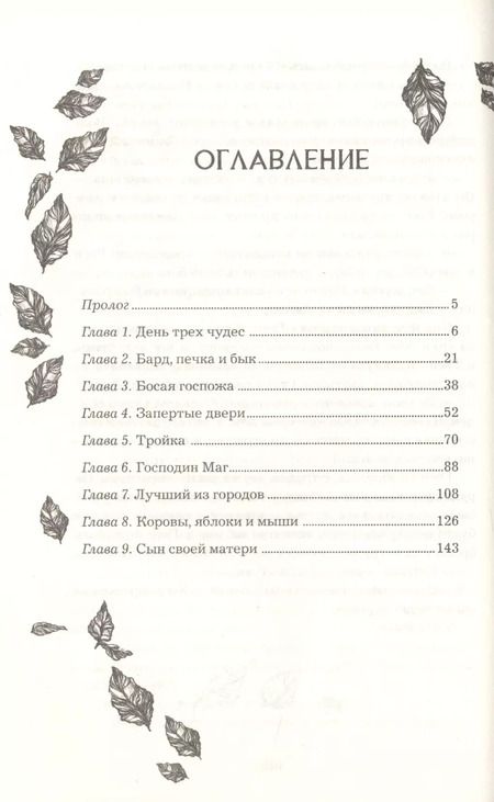 Фотография книги "Екатерина Соболь: Анима. Медная чайка"