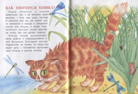 Фотография книги "Елена Агинская: Малышкина почемучка"