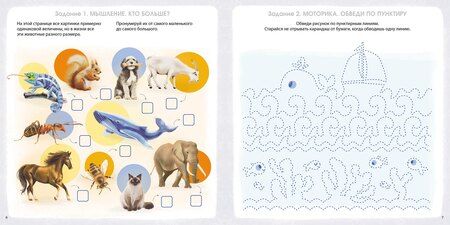 Фотография книги "Елена Александровна: Альбом для развития мозга 5+. Готовимся к школе"