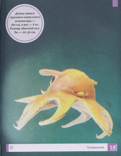 Фотография книги "Елена Александровна: Необычные животные: энциклопедия"