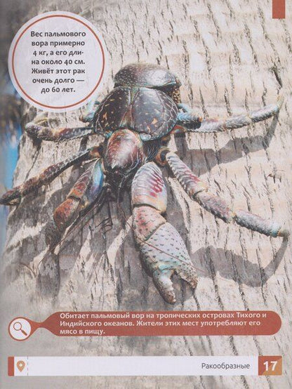 Фотография книги "Елена Александровна: Необычные животные: энциклопедия"