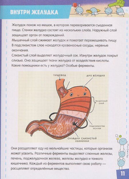 Фотография книги "Елена Александровна: Тело человека"