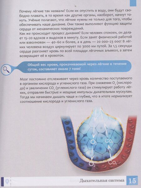 Фотография книги "Елена Александровна: Тело человека: энциклопедия"