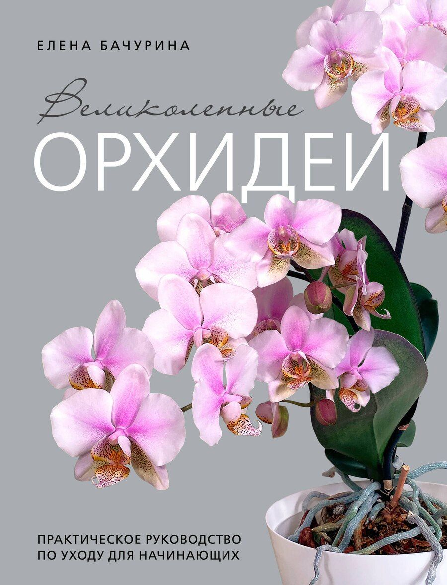 Обложка книги "Елена Бачурина: Великолепные орхидеи. Практичное руководство по уходу для начинающих"