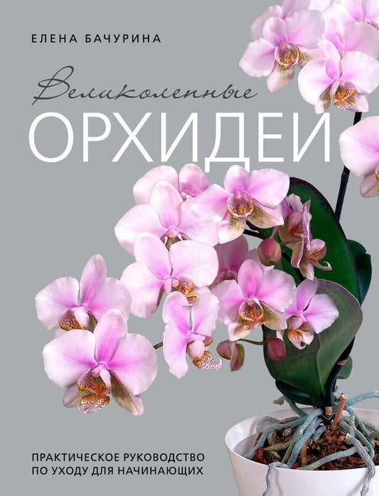 Обложка книги "Елена Бачурина: Великолепные орхидеи. Практичное руководство по уходу для начинающих"