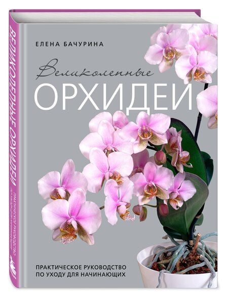 Фотография книги "Елена Бачурина: Великолепные орхидеи. Практичное руководство по уходу для начинающих"