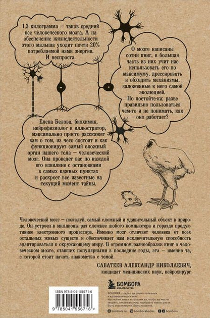 Фотография книги "Елена Белова: Автостопом по мозгу. Когда вся вселенная у тебя в голове"