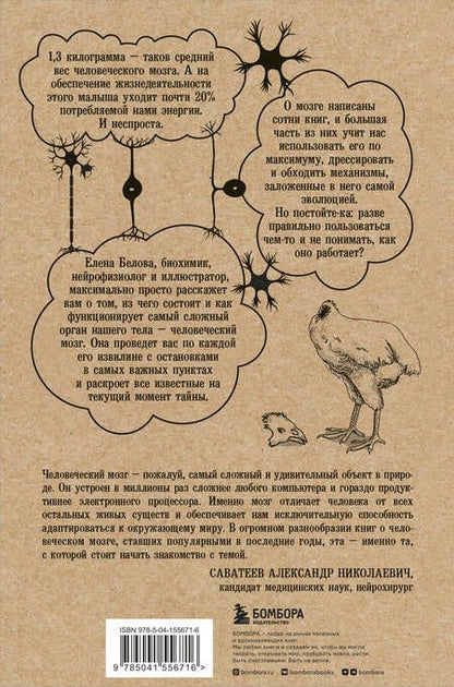 Фотография книги "Елена Белова: Автостопом по мозгу. Когда вся вселенная у тебя в голове"