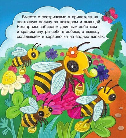 Фотография книги "Елена Березина: В гостях у пчёлки Жужи"