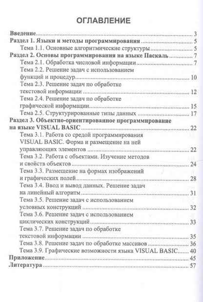 Фотография книги "Елена Быкадорова: Программирование. Практикум. Учебное пособие"