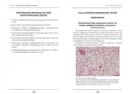 Фотография книги "Елена Борхунова: Цитология и общая гистология. Методика изучения препаратов. Учебно-методическое пособие"