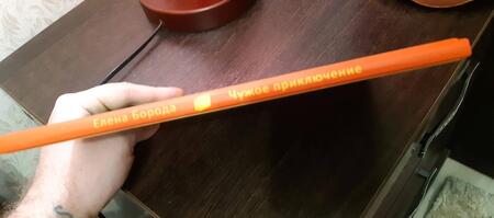 Фотография книги "Елена Борода: Чужое приключение"