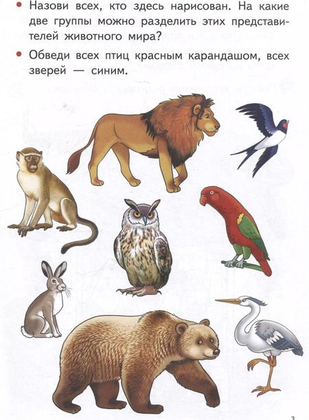 Фотография книги "Елена Бортникова: Изучаем окружающий мир (4-5 лет)"