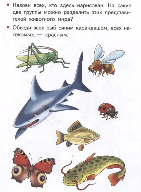 Фотография книги "Елена Бортникова: Изучаем окружающий мир (4-5 лет)"